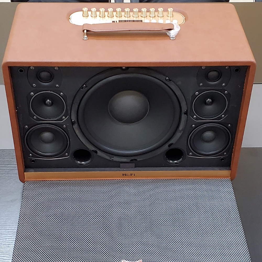 Loa xách bass đơn 25cm Ladomax H-125(DSP)