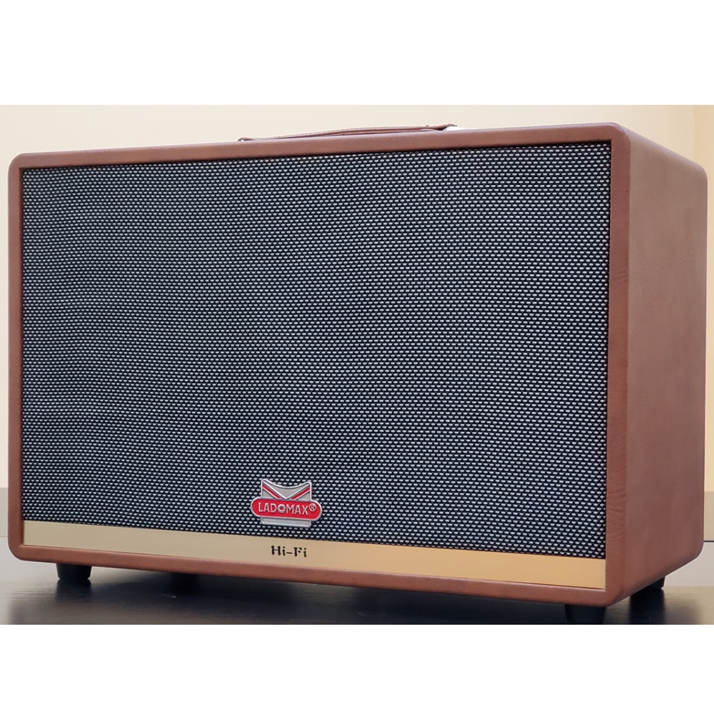 Loa xách bass đơn 25cm Ladomax H-125(DSP)