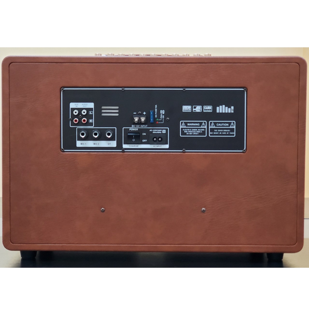 Loa xách bass đơn 25cm Ladomax H-125(DSP)