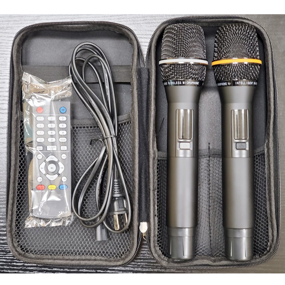 Loa xách bass đơn 25cm Ladomax H-125(DSP)