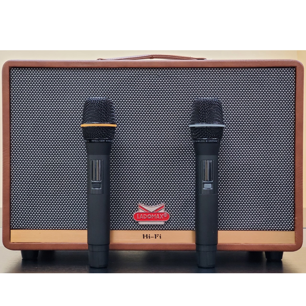 Loa xách bass đơn 25cm Ladomax H-125(DSP)