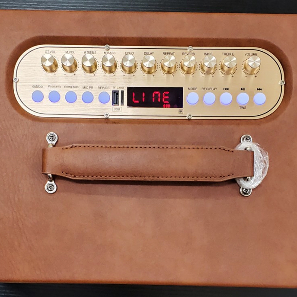 Loa xách bass đơn 20cm Ladomax H-120(DSP)