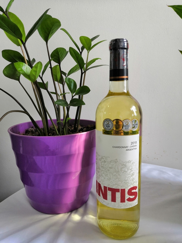 Kết quả hình ảnh cho vang argentina argentina intis CHARDONNAY CHENIN