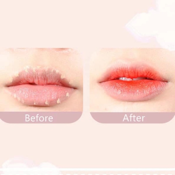 Che Khuyết Điểm 2 Đầu Gogo Tales Moisturizing Traceless Concealer Special Fish
