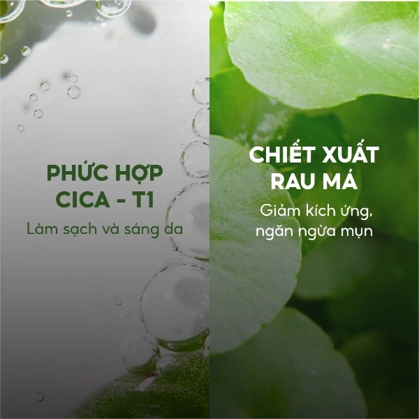 Sữa Rửa Mặt Chiết Xuất Rau Diếp Cá Tenzero Clear Fit Heartleaf Foam Cleanser Dành Cho Da Mụn 180g