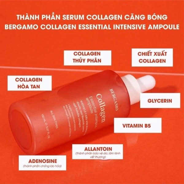 Serum Collagen Bergamo Essential Intensive Ampoule 150ml - CAM