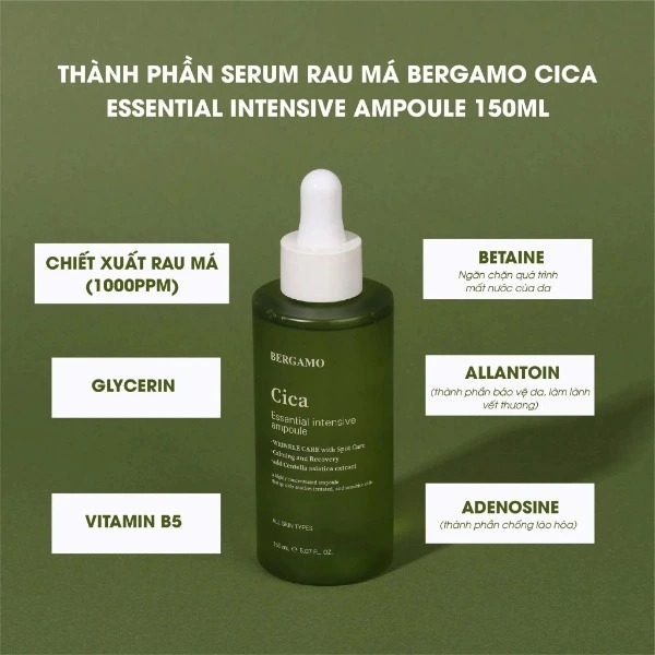Serum Bergamo Cica Essential Intensive Ampoule 150ml - XANH LÁ