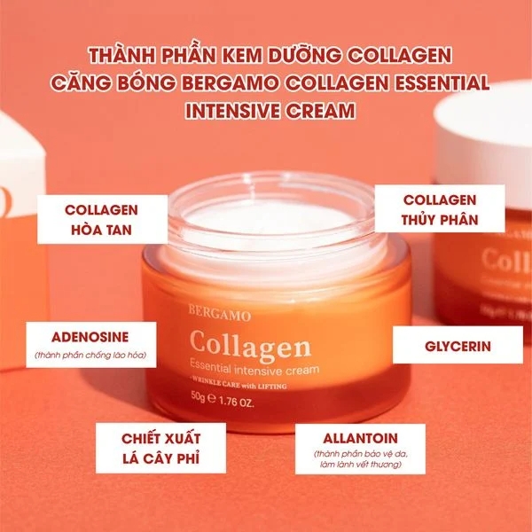 Kem Dưỡng Bergamo Collagen Essential Intensive Cream, Cấp Ẩm, Phục Hồi Da 50g - ĐỎ