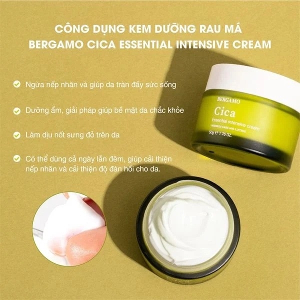 Kem Dưỡng Bergamo Cica Essential Intensive Cream, Cấp Ẩm, Ngăn Ngừa Mụn 50g - XANH LÁ