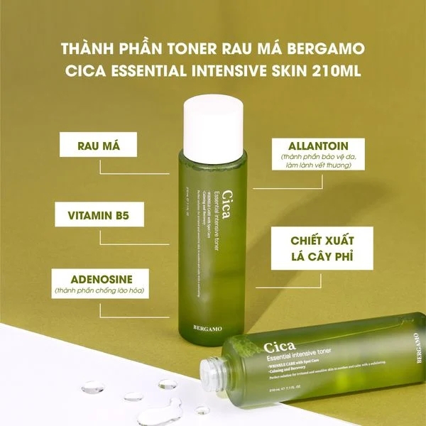 Toner Bergamo Cica Essential Intensive Toner Cấp Ẩm, Dưỡng Da 210ml - XANH LÁ
