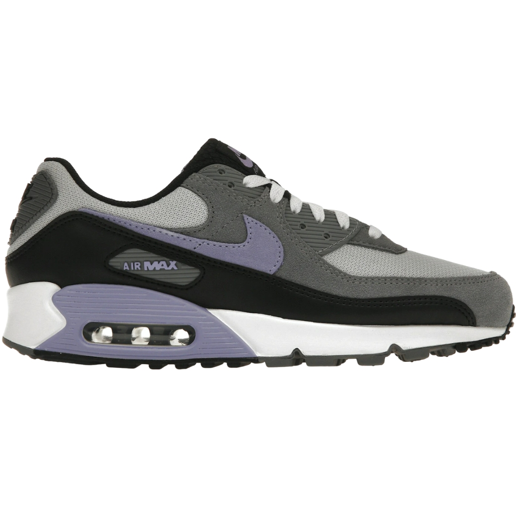 Nike Air Max 90 Photon Dust Light Thistle | DM0029-014