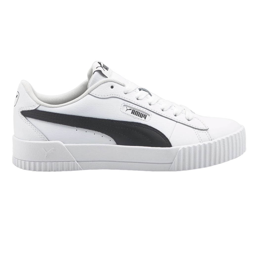 Puma carina | 374903-05