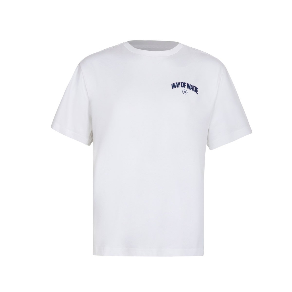 Áo T-shirt Li-Ning Nam AHSU169-2V