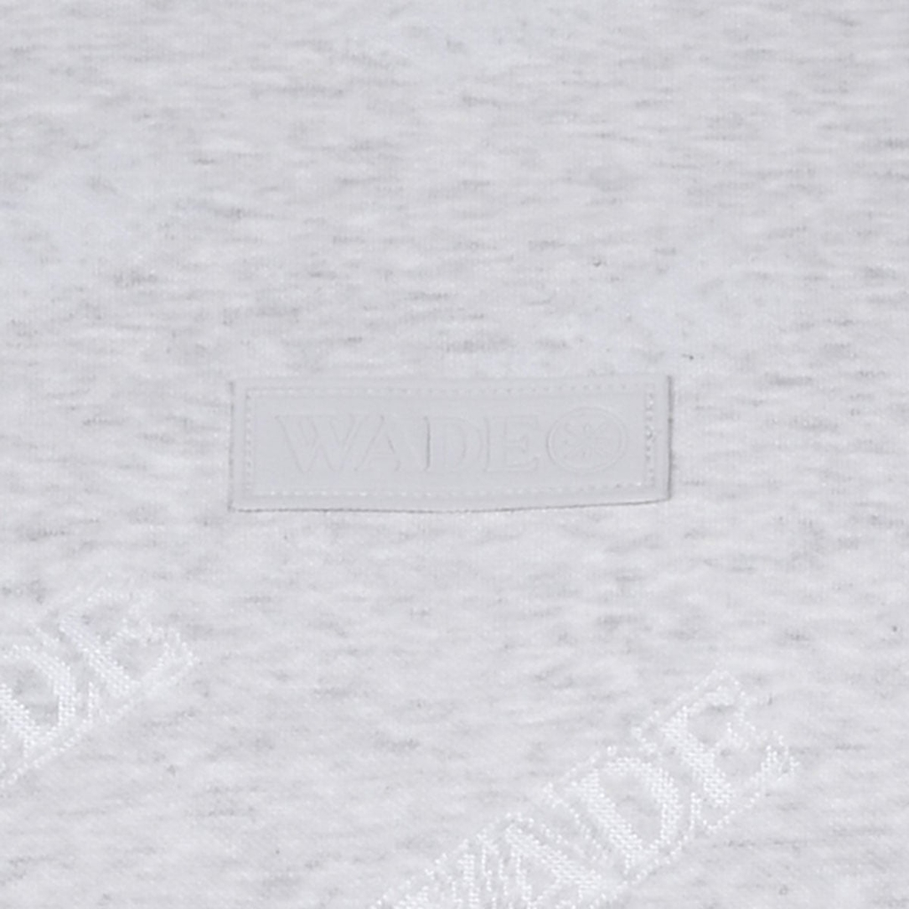 Áo T-shirt Li-Ning Nam AHSW231-3V