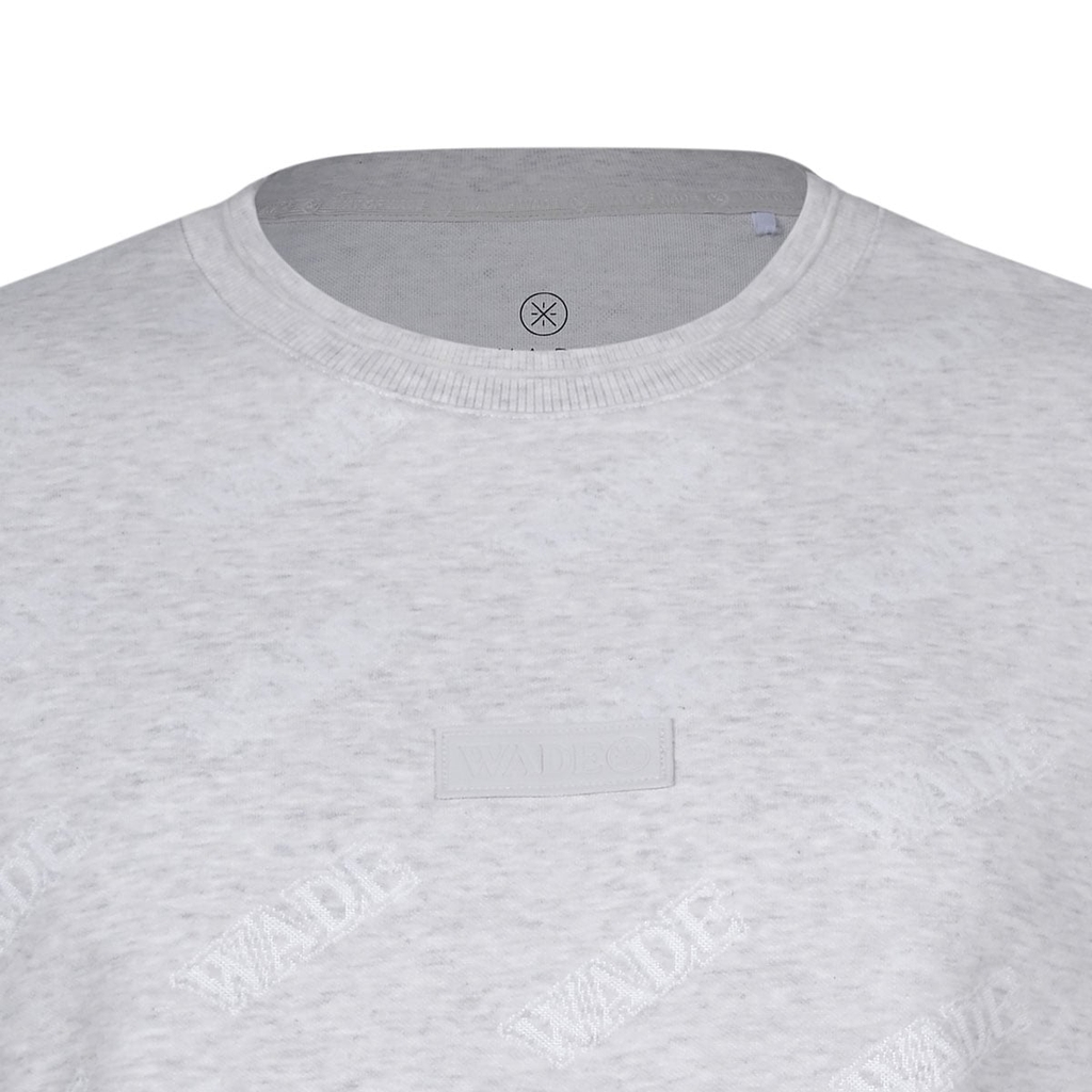 Áo T-shirt Li-Ning Nam AHSW231-3V