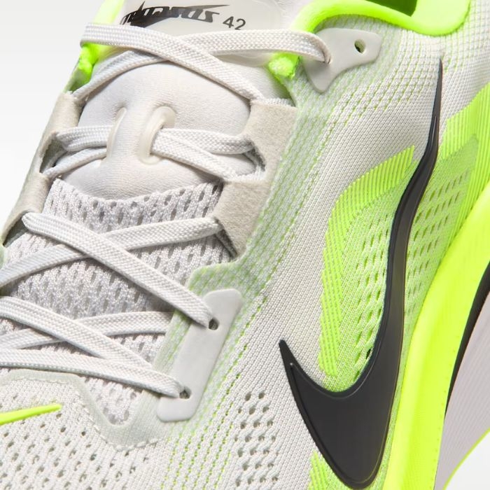 Giày chạy bộ Nike Pegasus 42 Nam - IB1873-008
