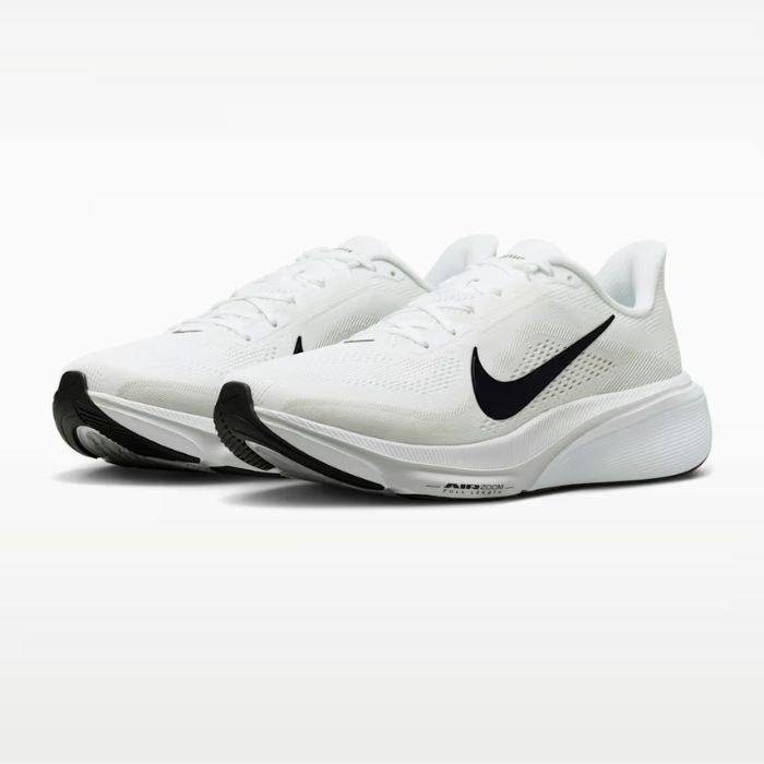 Giày chạy bộ Nike Pegasus 42 Nam - IB1873-101