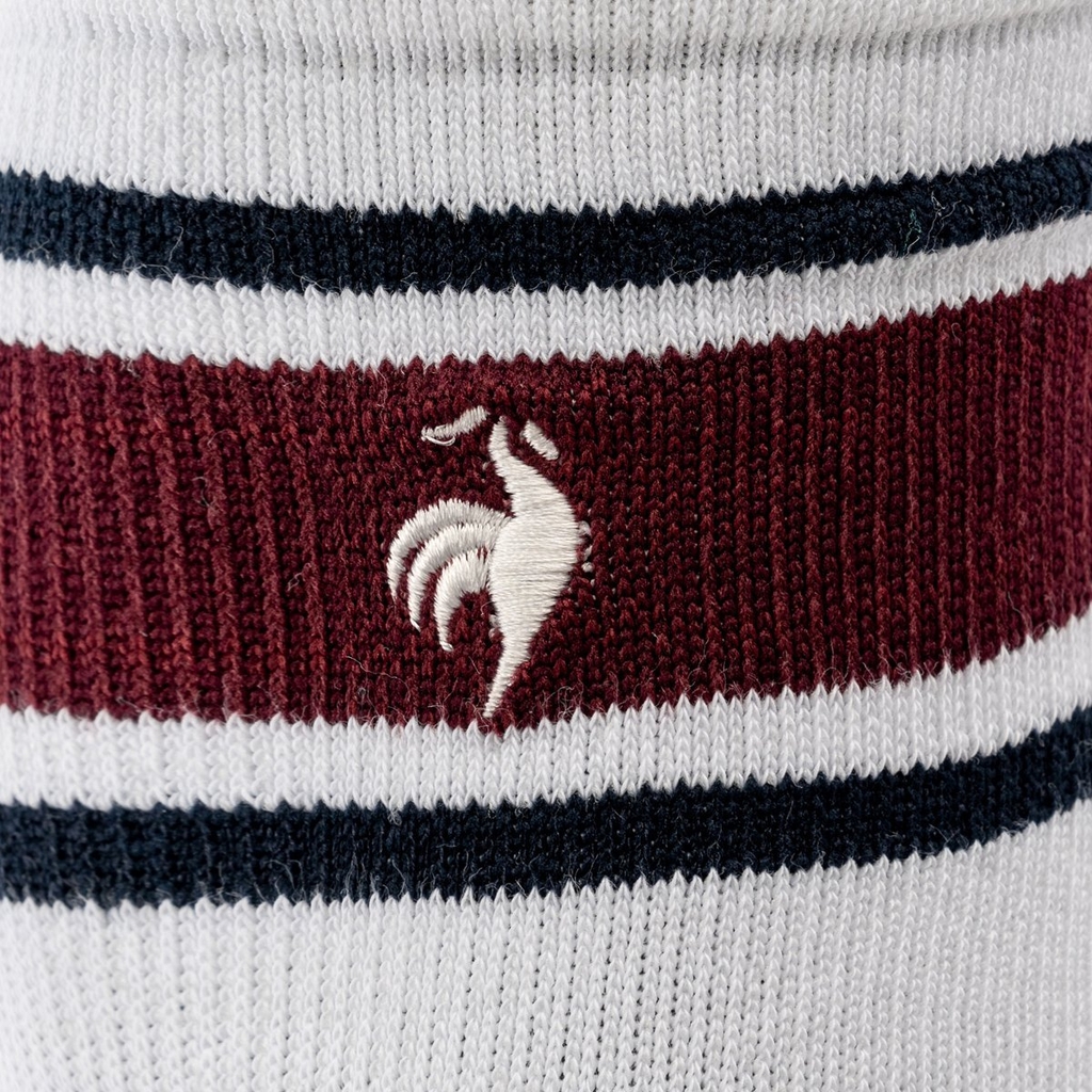 Tất thể thao le coq sportif Nữ LT5FSO32UV-WH00