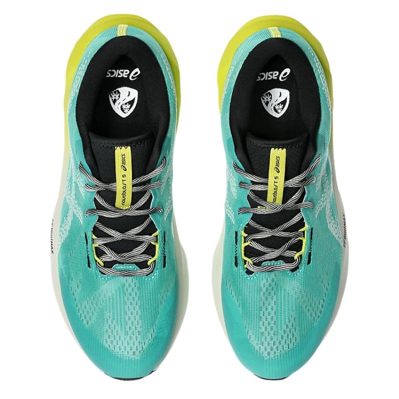 Giày chạy bộ ASICS NOVABLAST 5 Nam - 1011C217.300