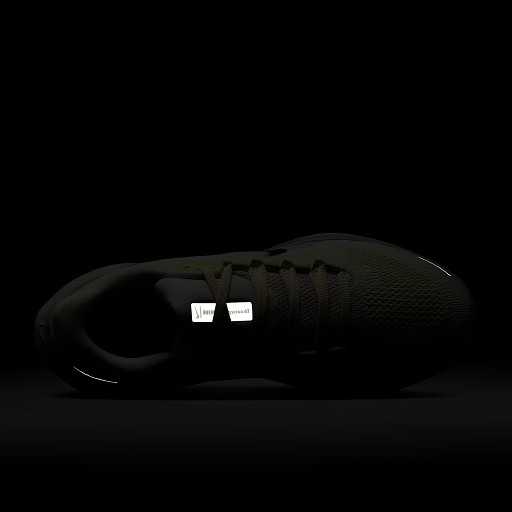 Giày chạy bộ Nike W Air Zoom Pegasus 41 Nữ FD2723-114