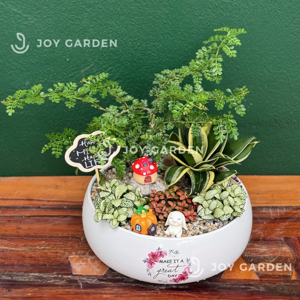 Tiểu cảnh Nhà Trong Rừng