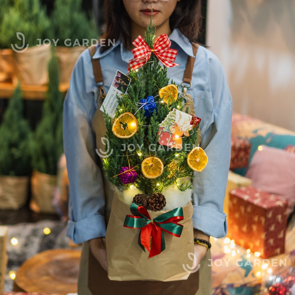 Set Tùng Kraft [Tông Cam] Size M