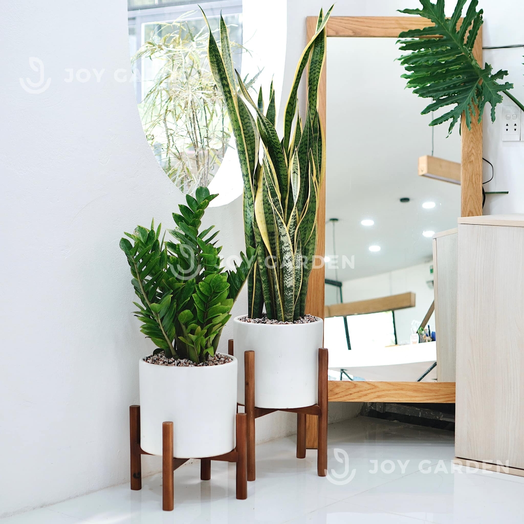 Chậu Trụ (D28H28)