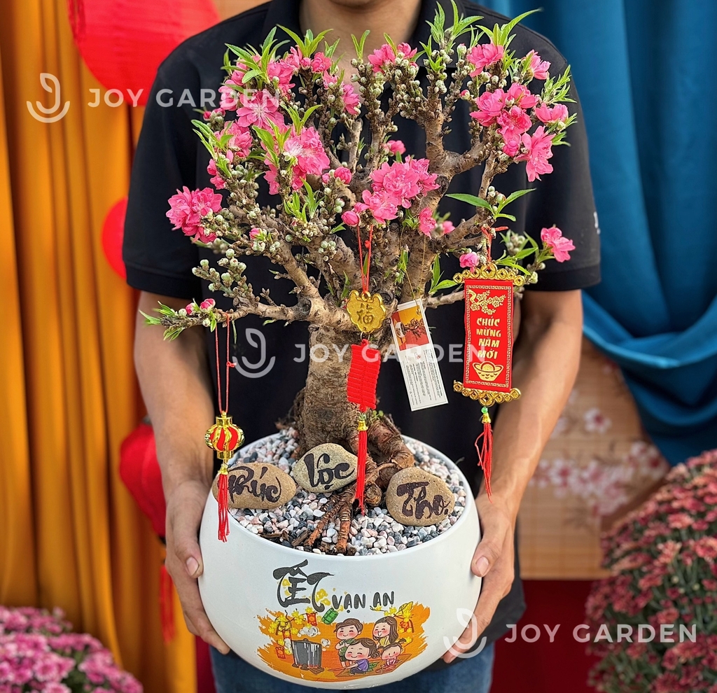 Đào Thất Thốn [D24]