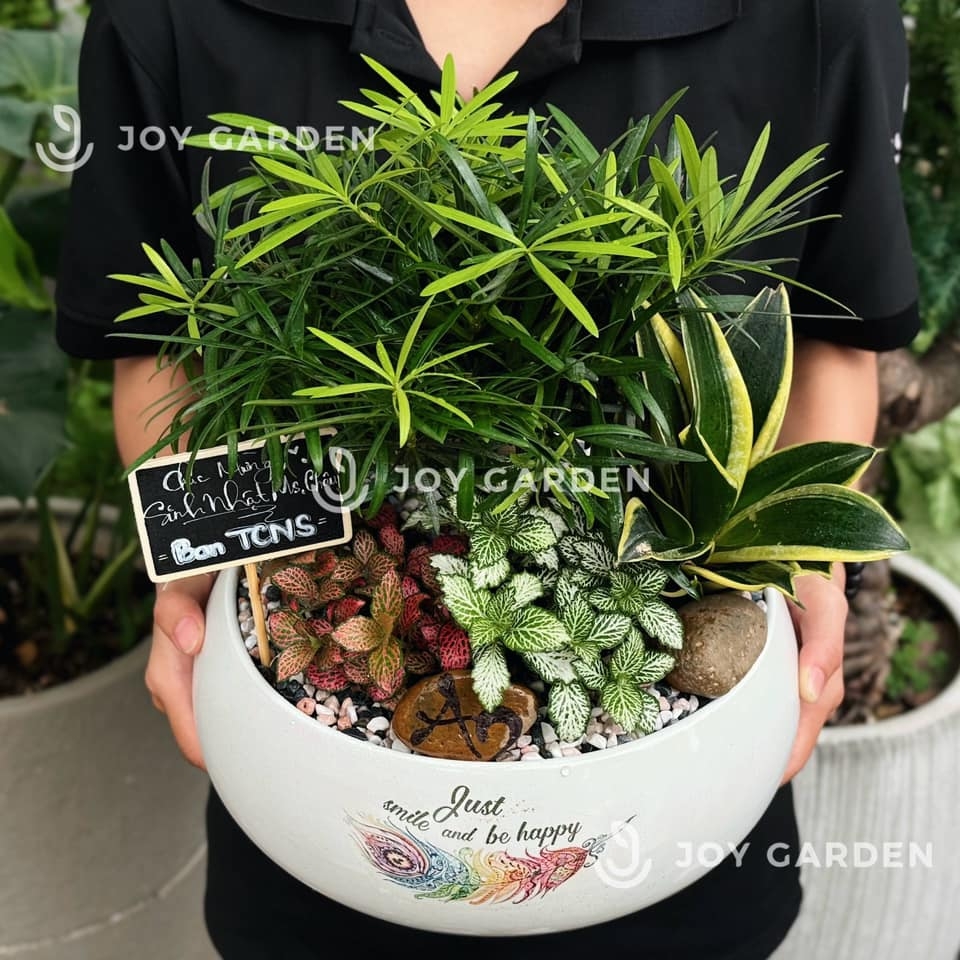 Tiểu cảnh Như Ý