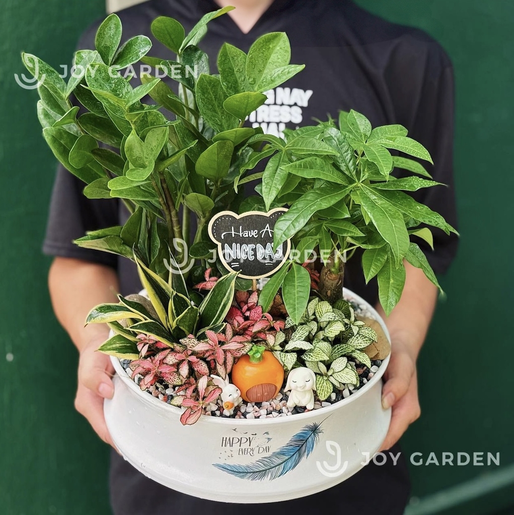 Tiểu cảnh Kim Tứ Quý