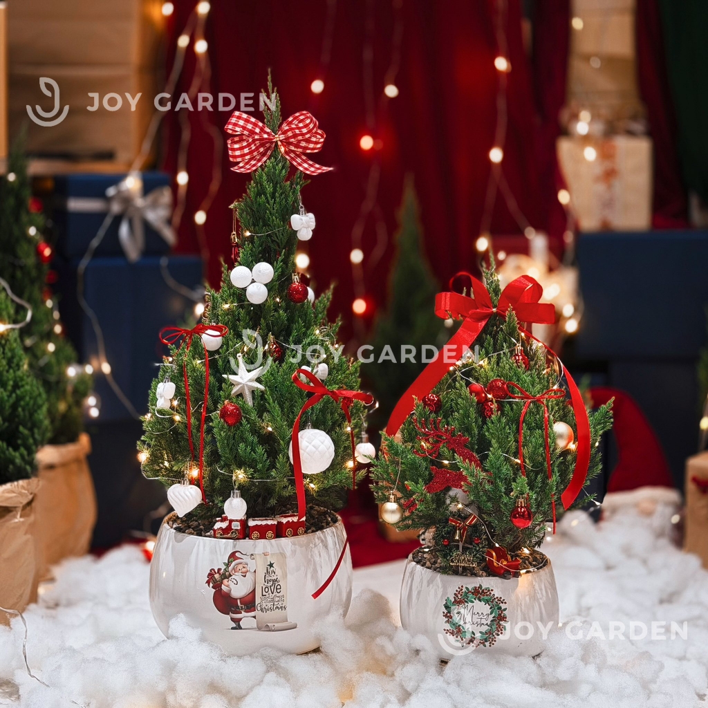 Set Tùng Santa [Tông Trắng Đỏ] Size L