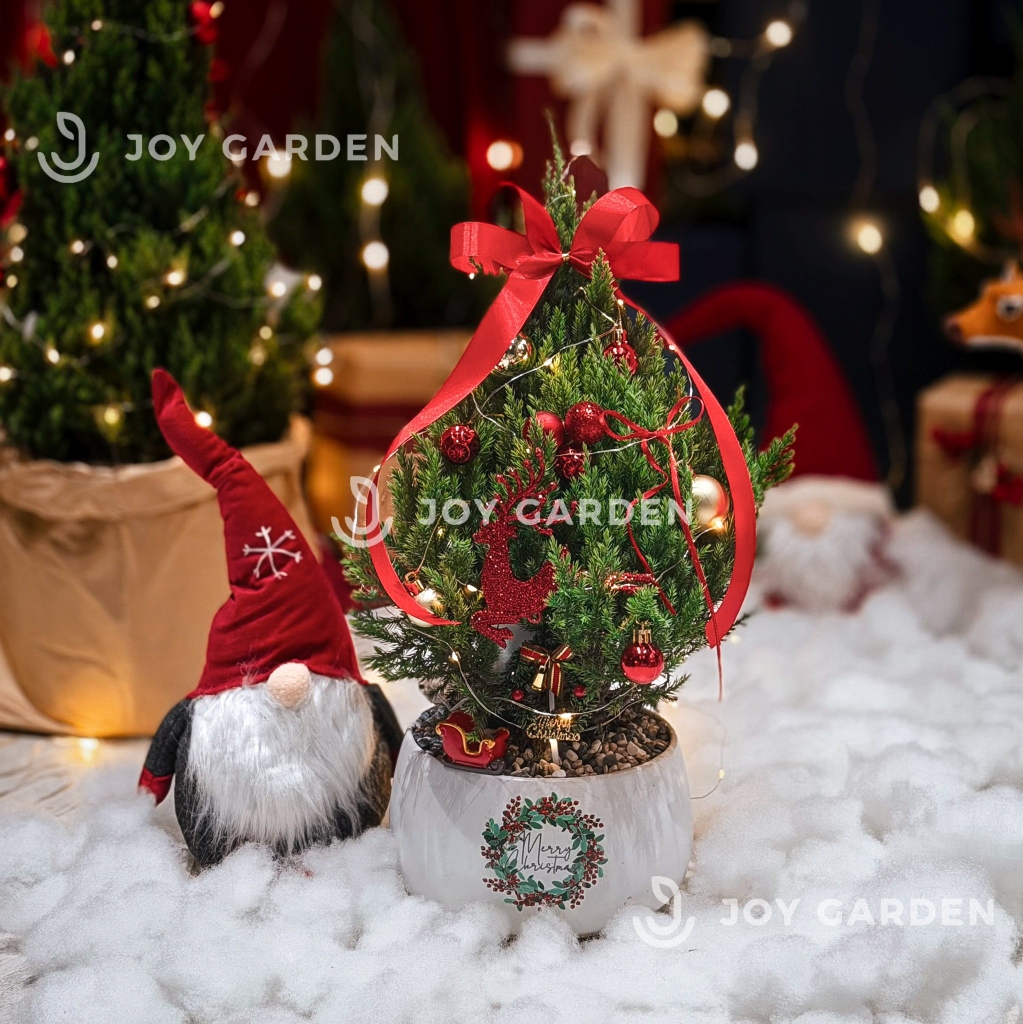 Set Tùng Merry Cherry [Tông Đỏ] Size M