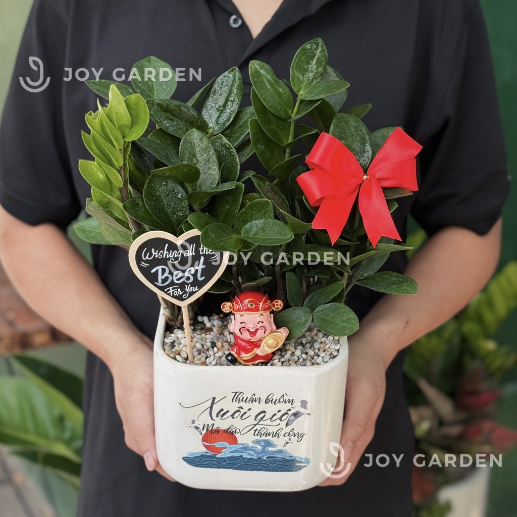 Kim tiền Mã đáo thành công [Chậu V16]