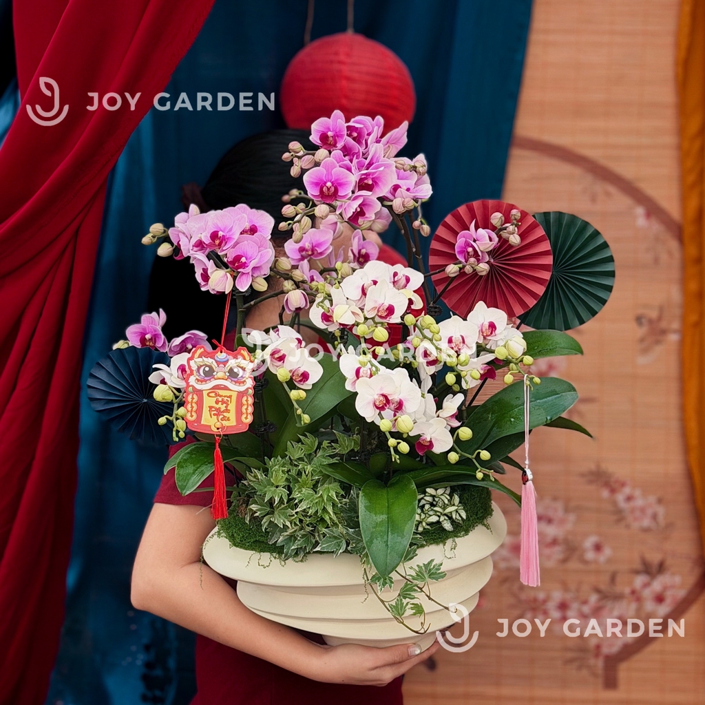 Lan Hồ Điệp Ngọc Ngà