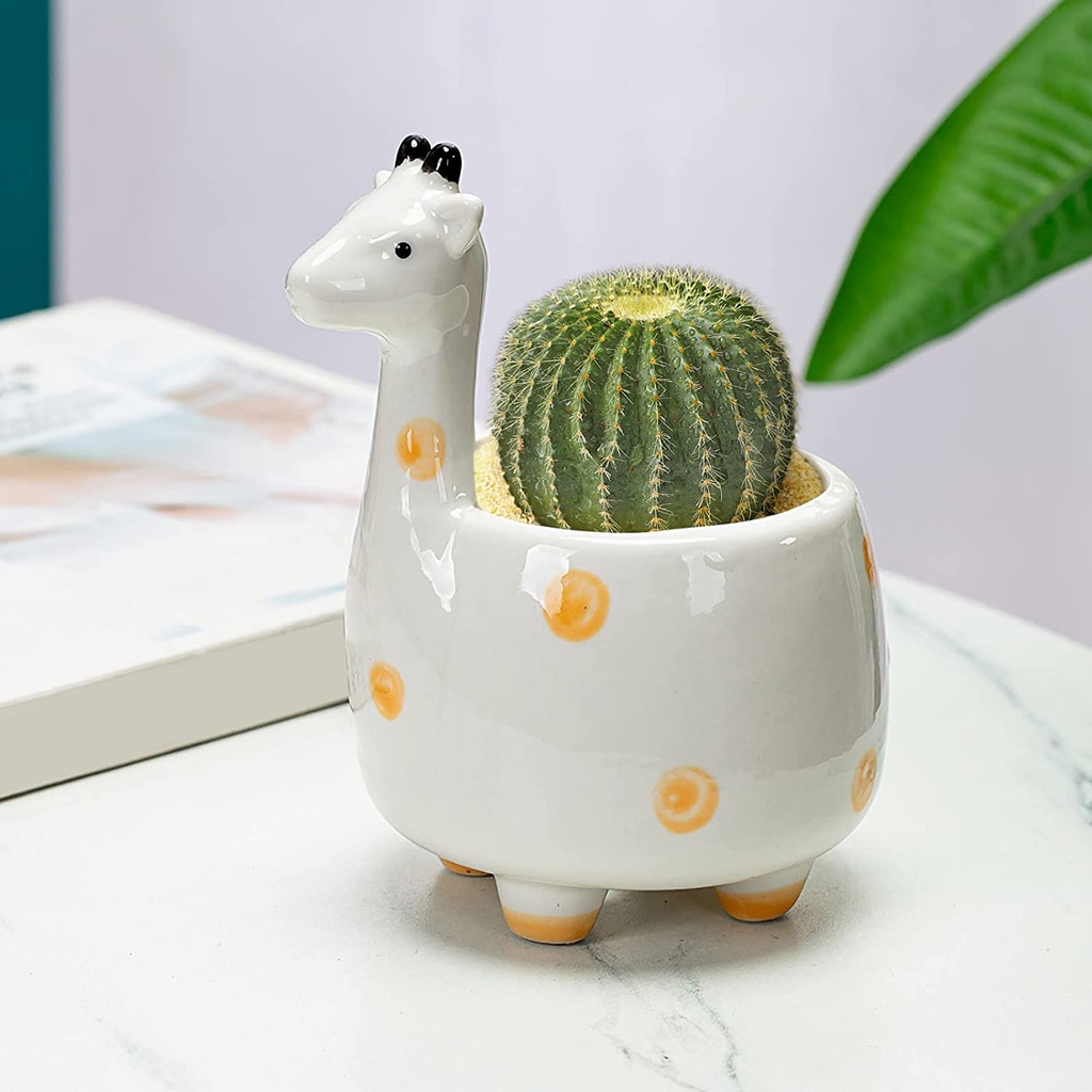 Chậu Thú Mini [Animal Succulent Planters]