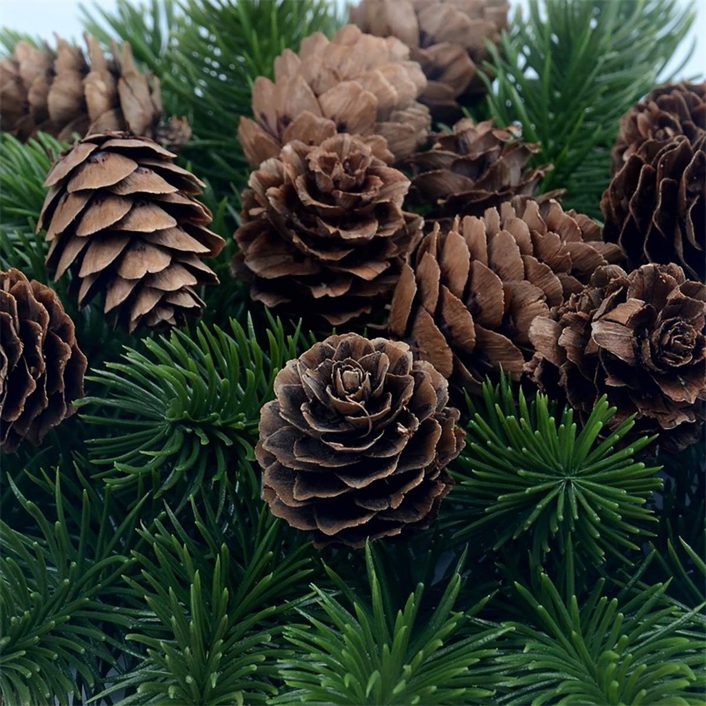 Trái Thông Khô [Size 3-5cm]