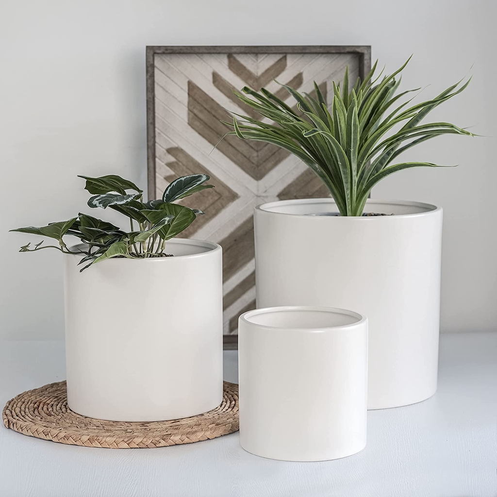 Chậu Trụ (D28H28)