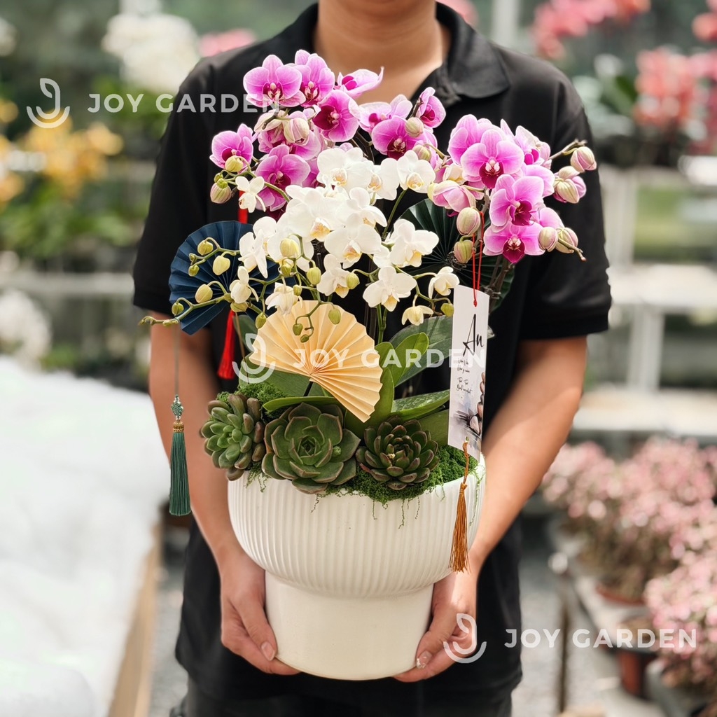 Lan hồ điệp Bắc Âu