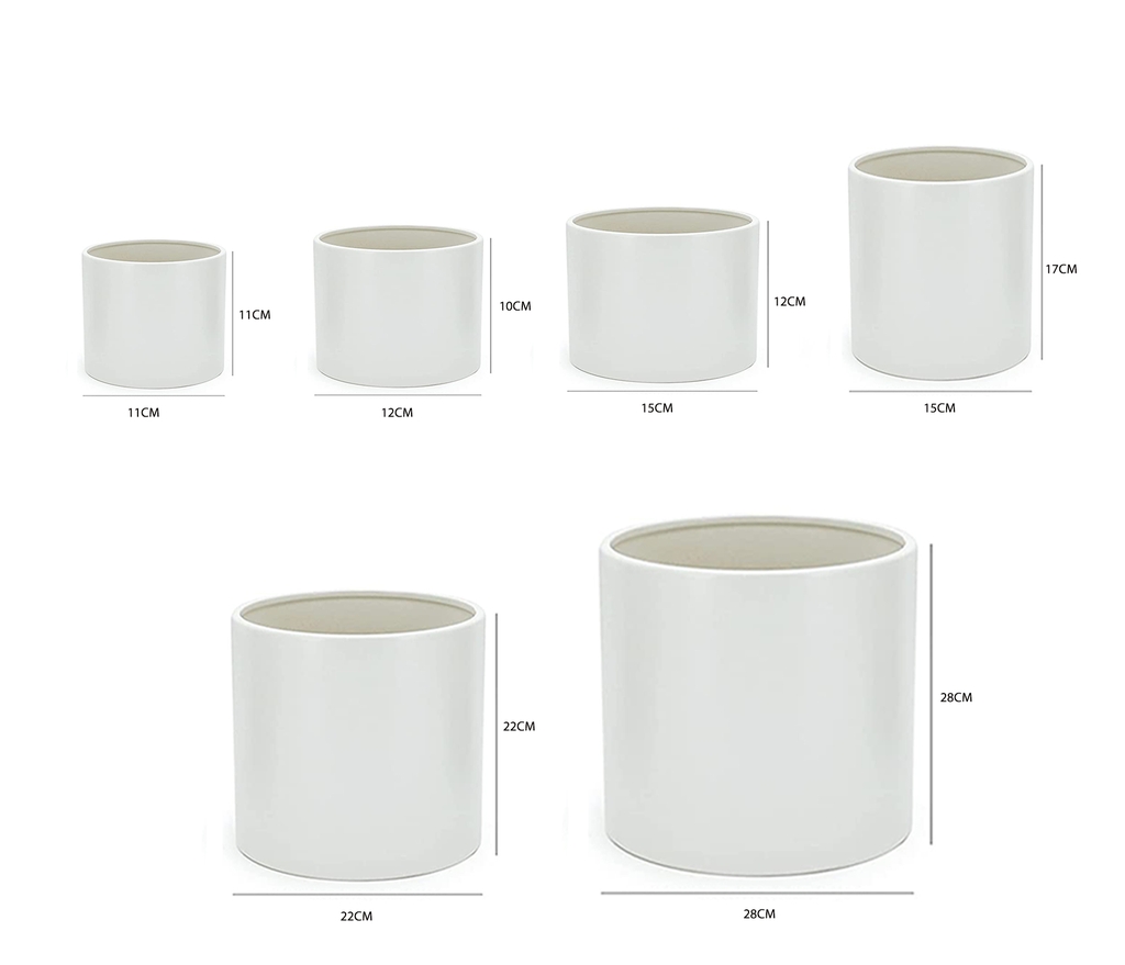 Chậu Trụ (D22H22)