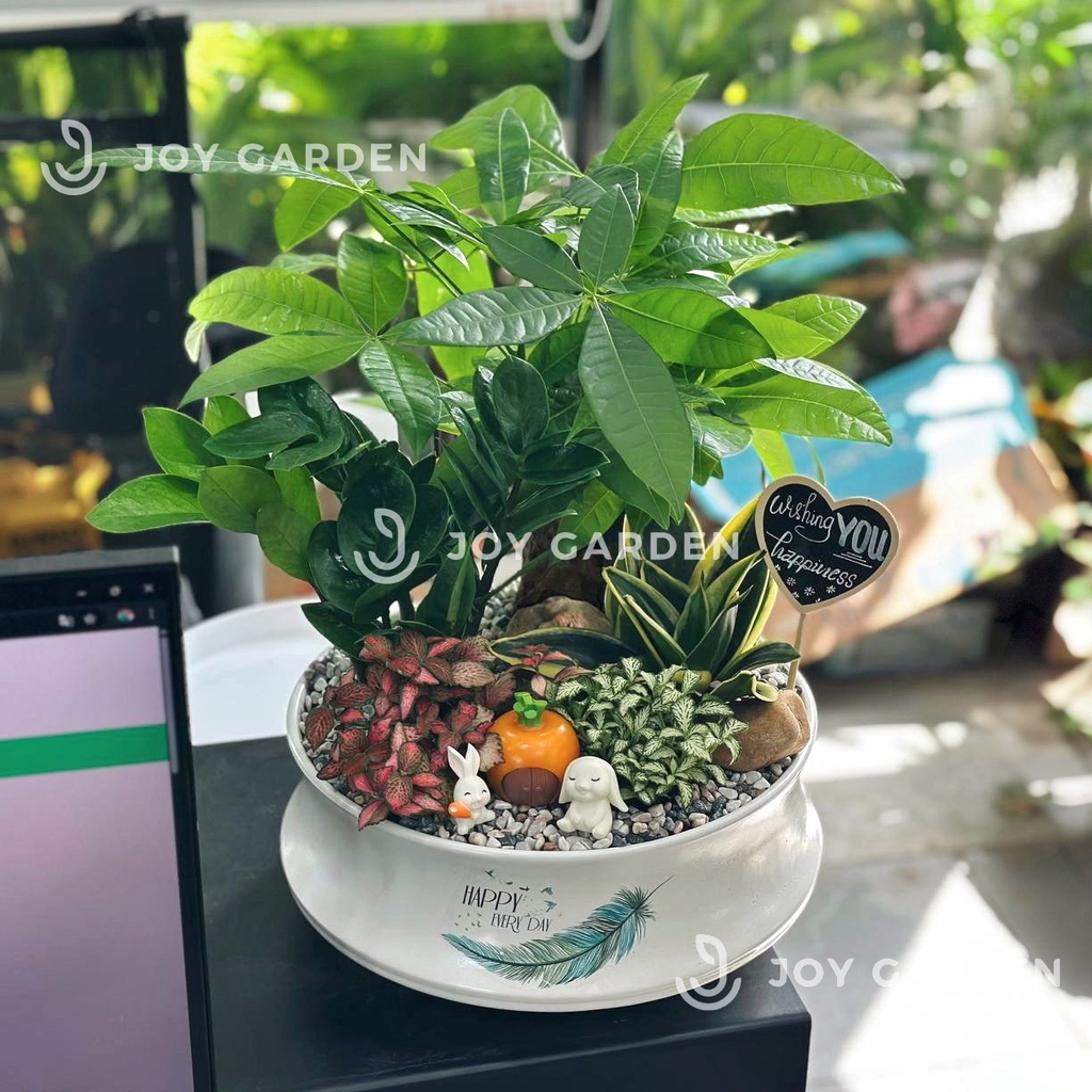 Tiểu cảnh Kim Tứ Quý