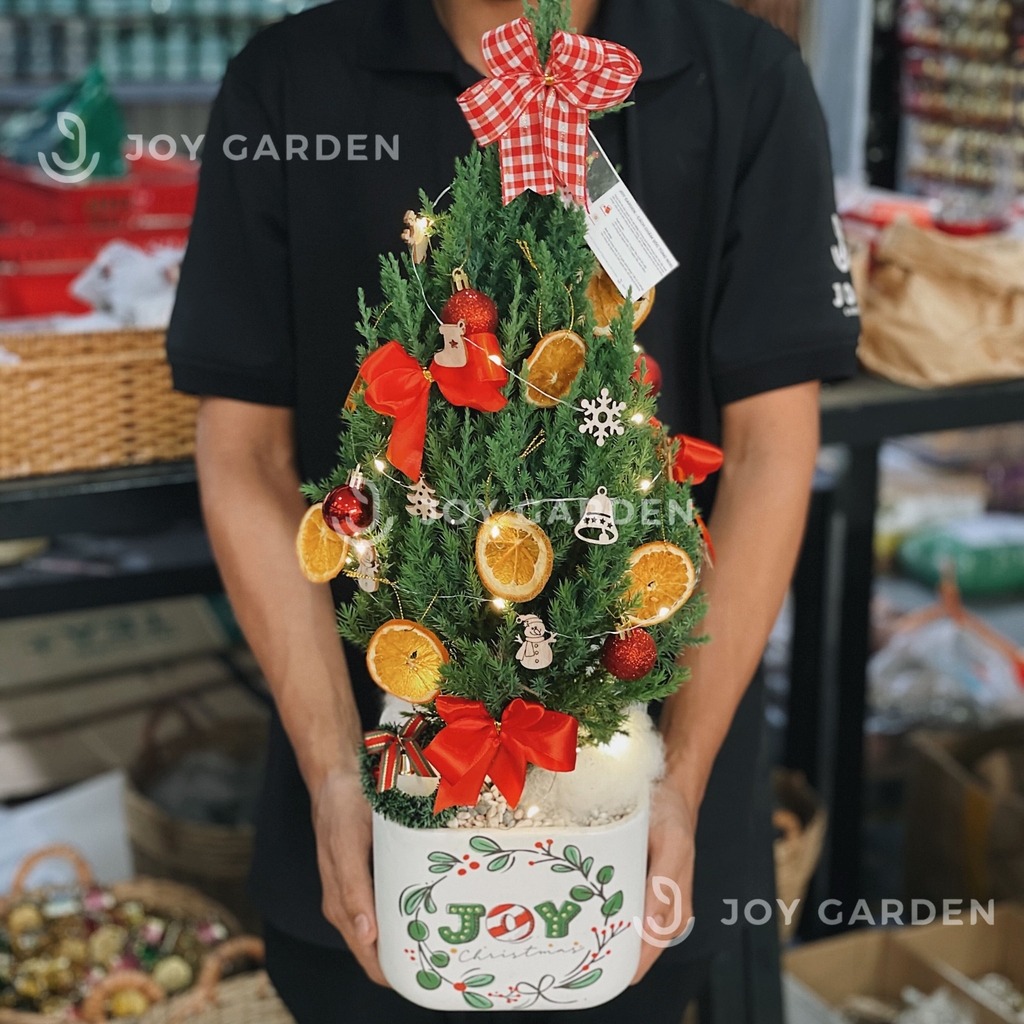 Set Merry Cherry [Tông Cam Đỏ] Size M