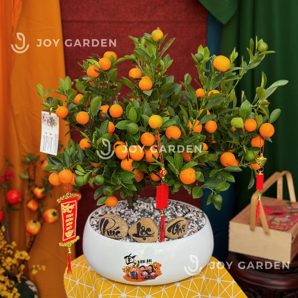 Nhị Quất Phú [DL28]