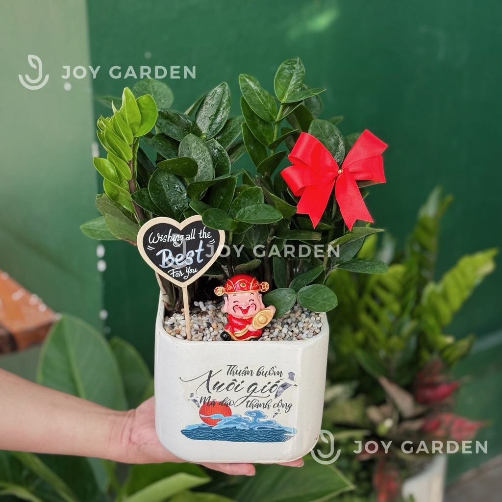 Kim tiền Mã đáo thành công [Chậu V16]