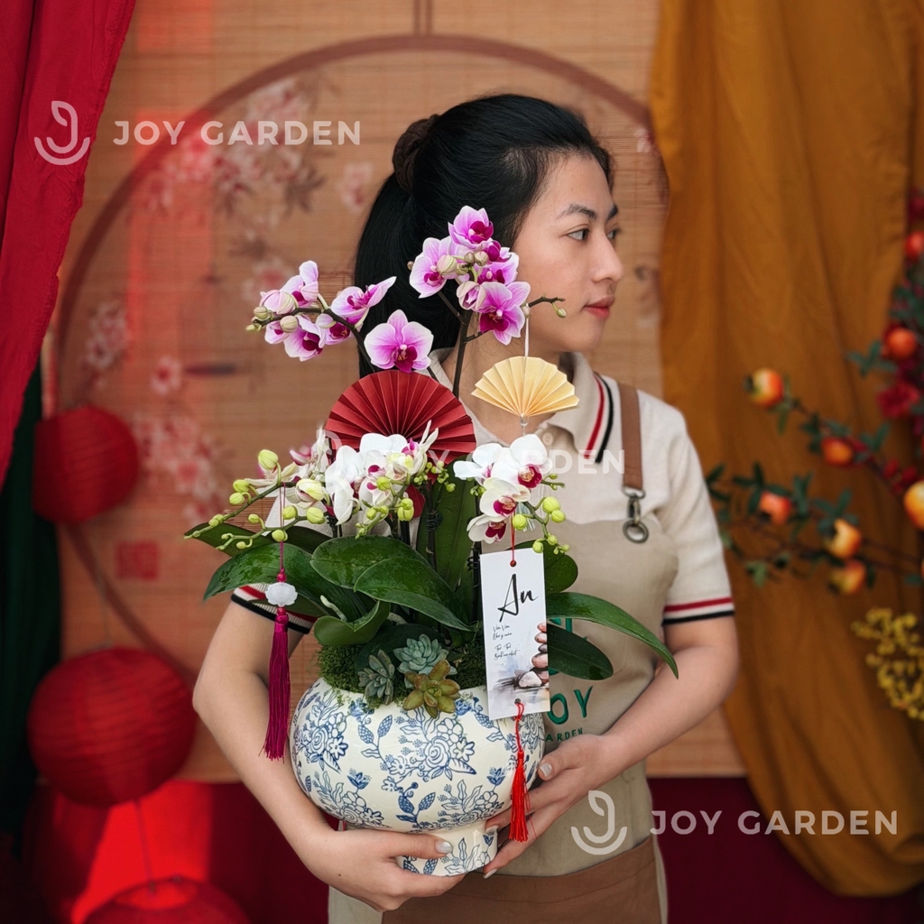 Lan hồ điệp Lam Phúc