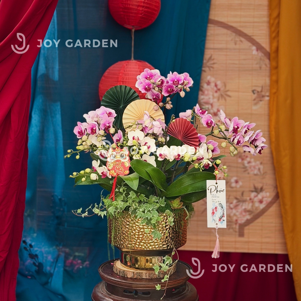 Lan Hồ Điệp Kim Đế