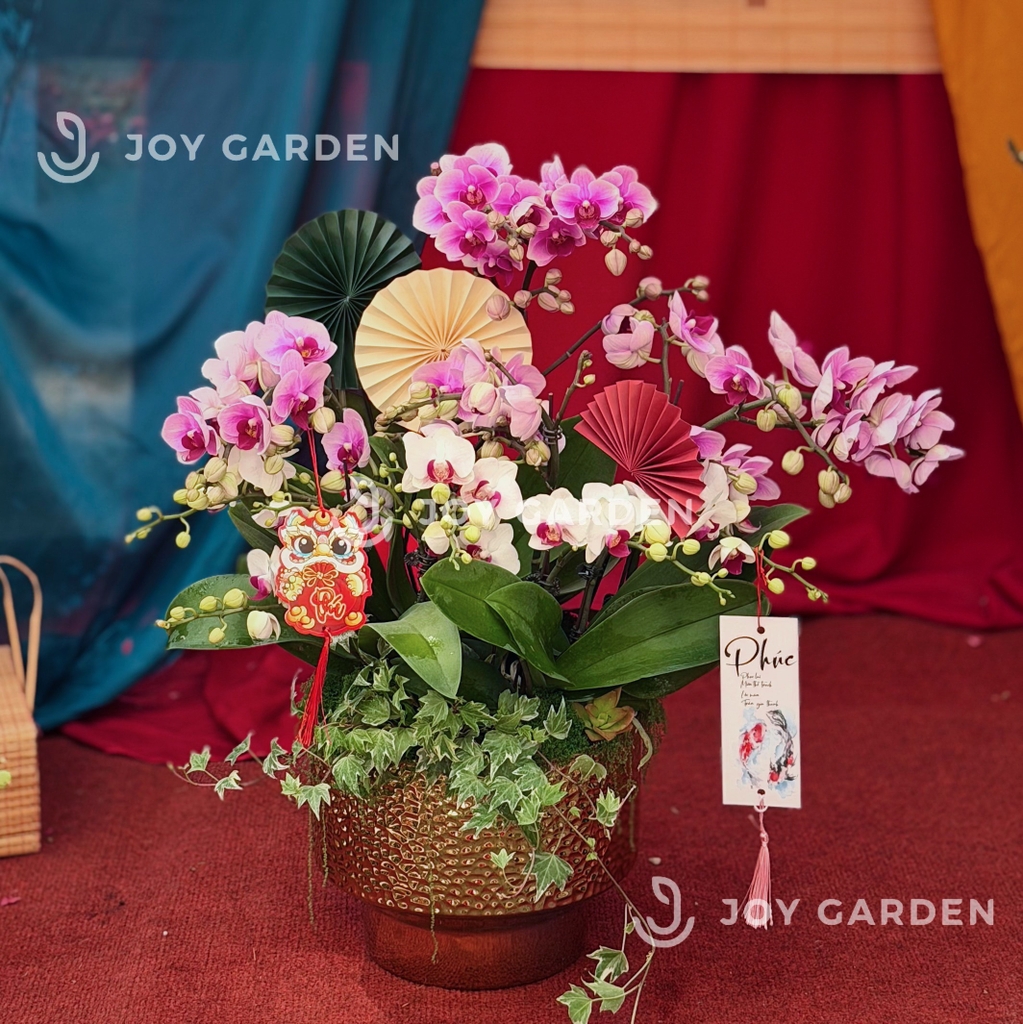 Lan Hồ Điệp Kim Đế