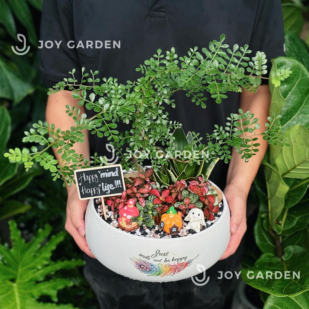 Tiểu cảnh Nhà Trong Rừng