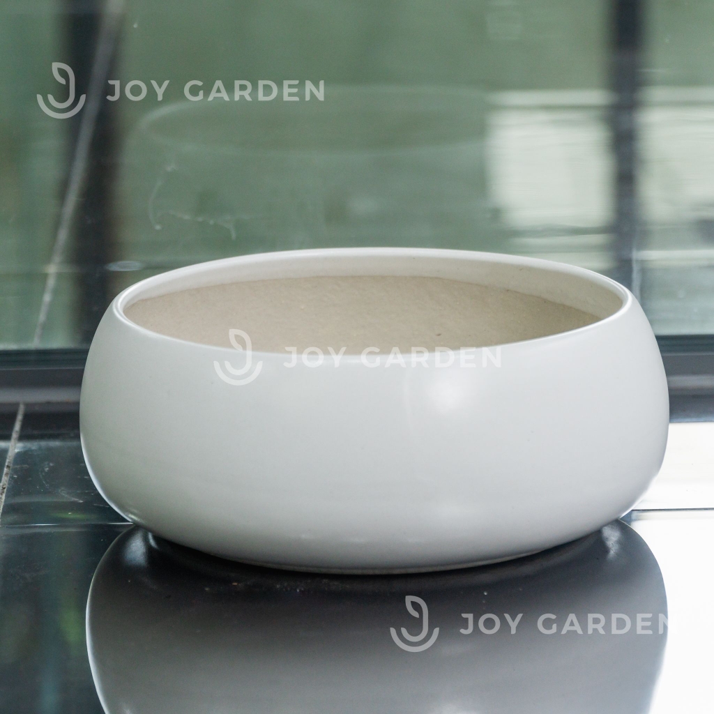 Chậu Hạt dẻ lùn (D28H12)