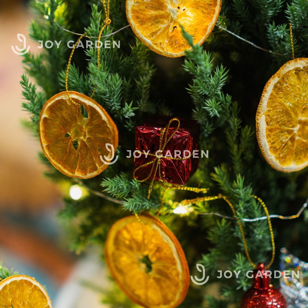 Set Merry Nón [Tông Cam] Size L