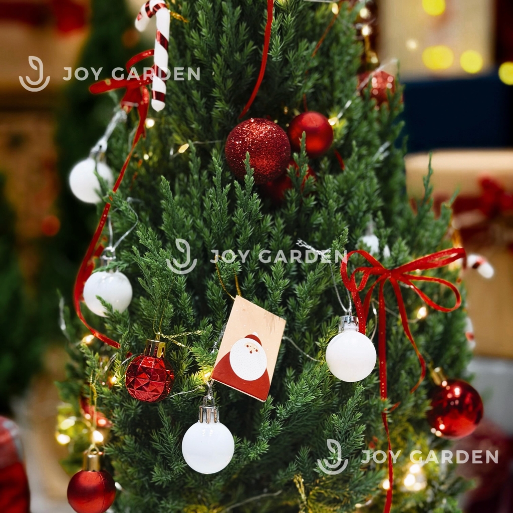 Set Tùng Holly Jolly [Tông Đỏ Trắng] Size L